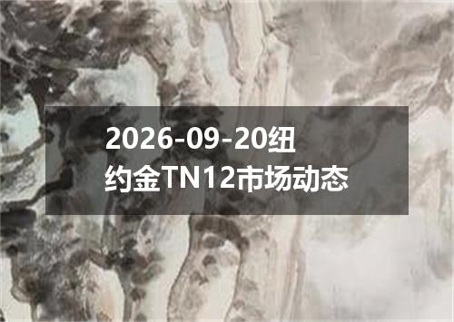 2026-09-20纽约金TN12市场动态