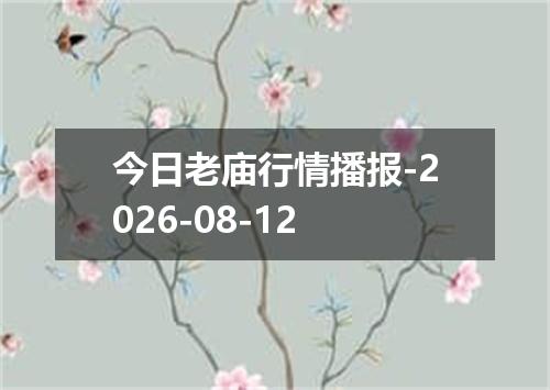 今日老庙行情播报-2026-08-12